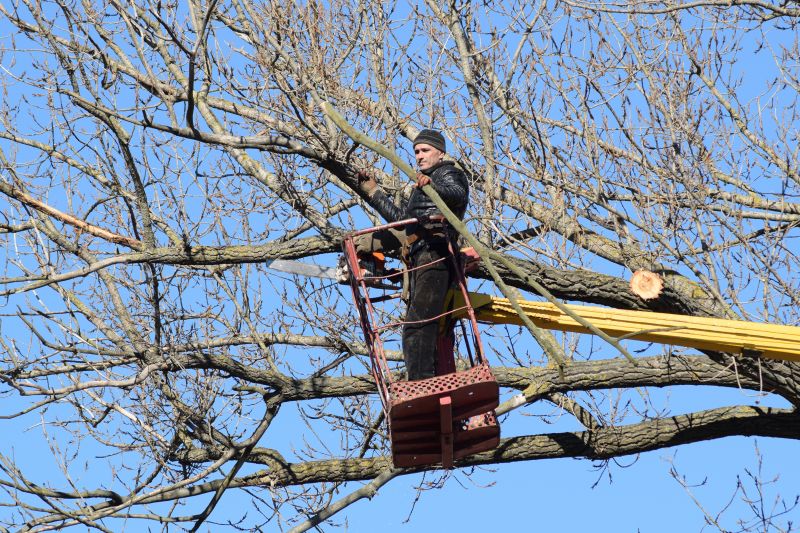 High-Branch Trimming